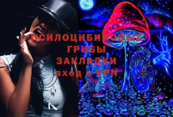 прущие крисы Надым