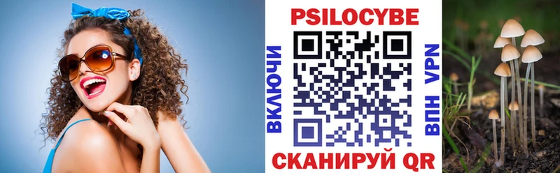 Купить где  Пенза  Галлюциногенные грибы Psilocybe 